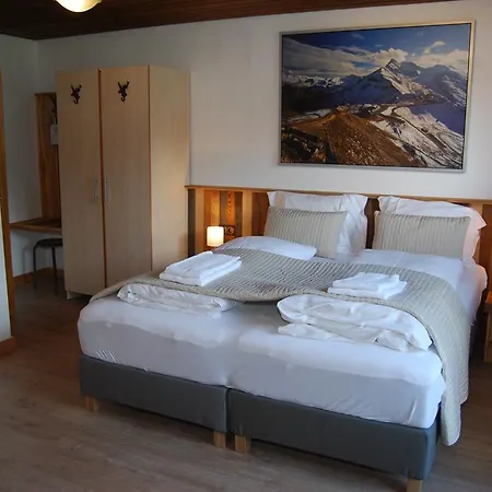 Gaestehaus Pernull Penzion 4*