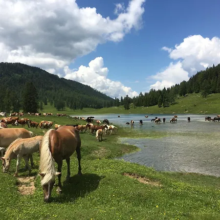 Πανσιόν Gaestehaus Pernull