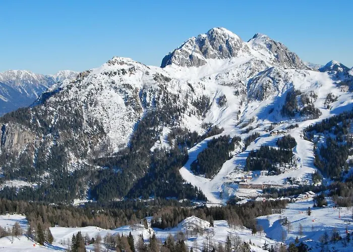 Πανσιόν Gaestehaus Pernull 4*