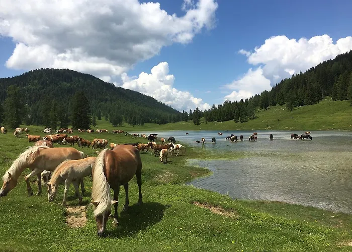 Πανσιόν Gaestehaus Pernull